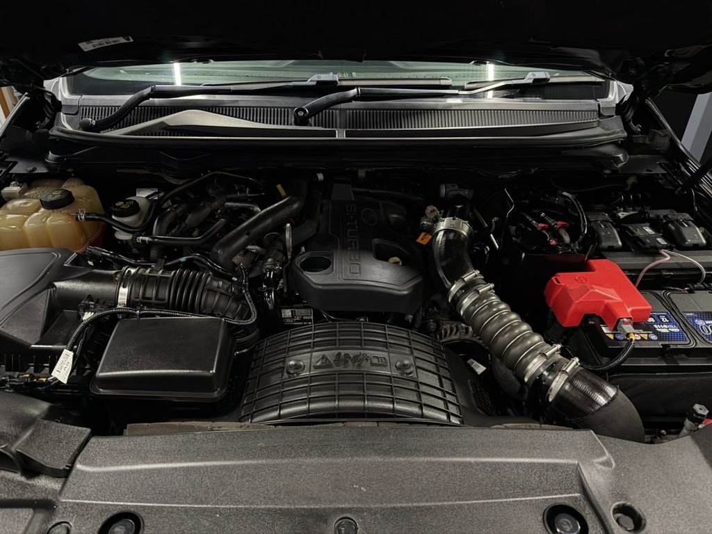 Used Ford Ranger 2021 for sale - 77849491: Photo 43