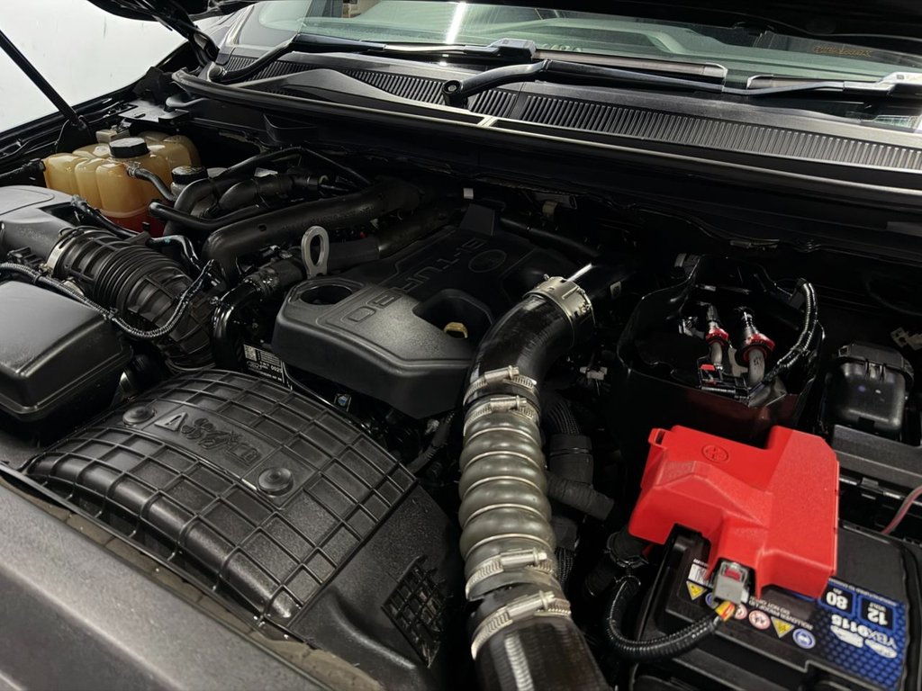 Used Ford Ranger 2021 for sale - 77849491: Photo 44