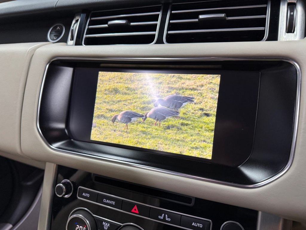 Used Land Rover Range Rover 2017 for sale - 77780176: Photo 5