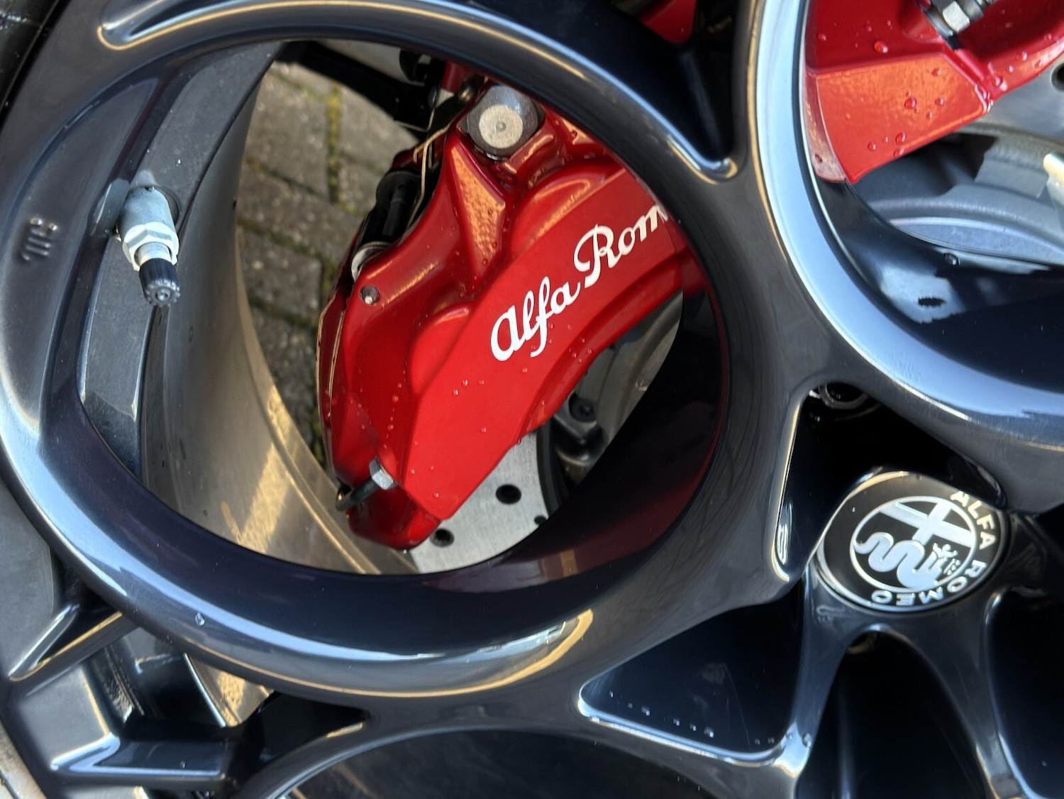 Used Alfa Romeo Stelvio 2025 for sale - 76869249: Photo 20