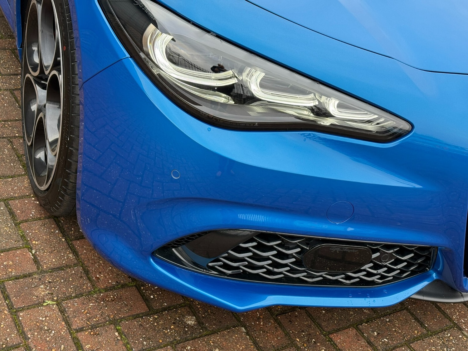 Used Alfa Romeo Giulia 2025 for sale - 76874091: Photo 14