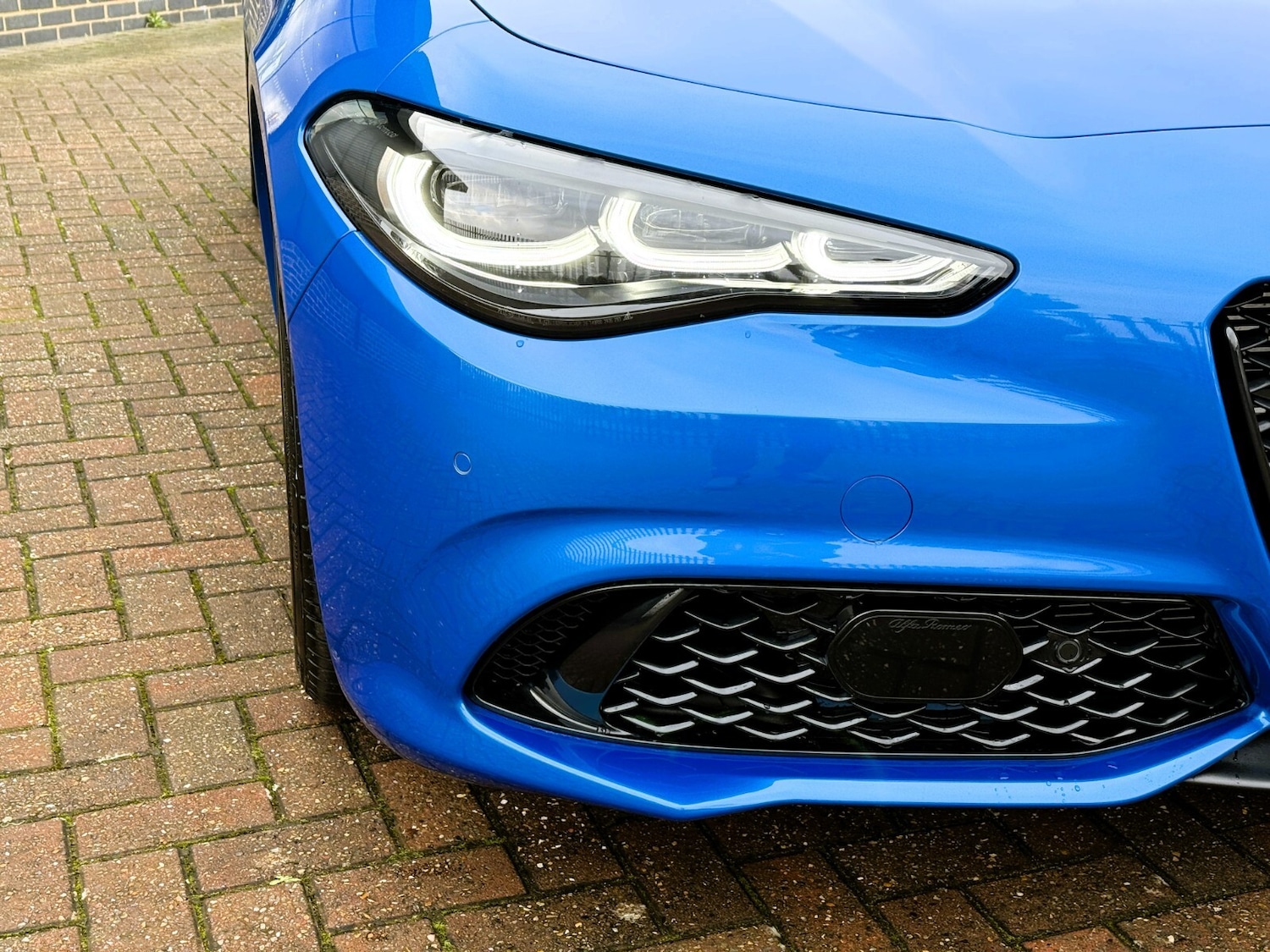 Used Alfa Romeo Giulia 2025 for sale - 76874091: Photo 15