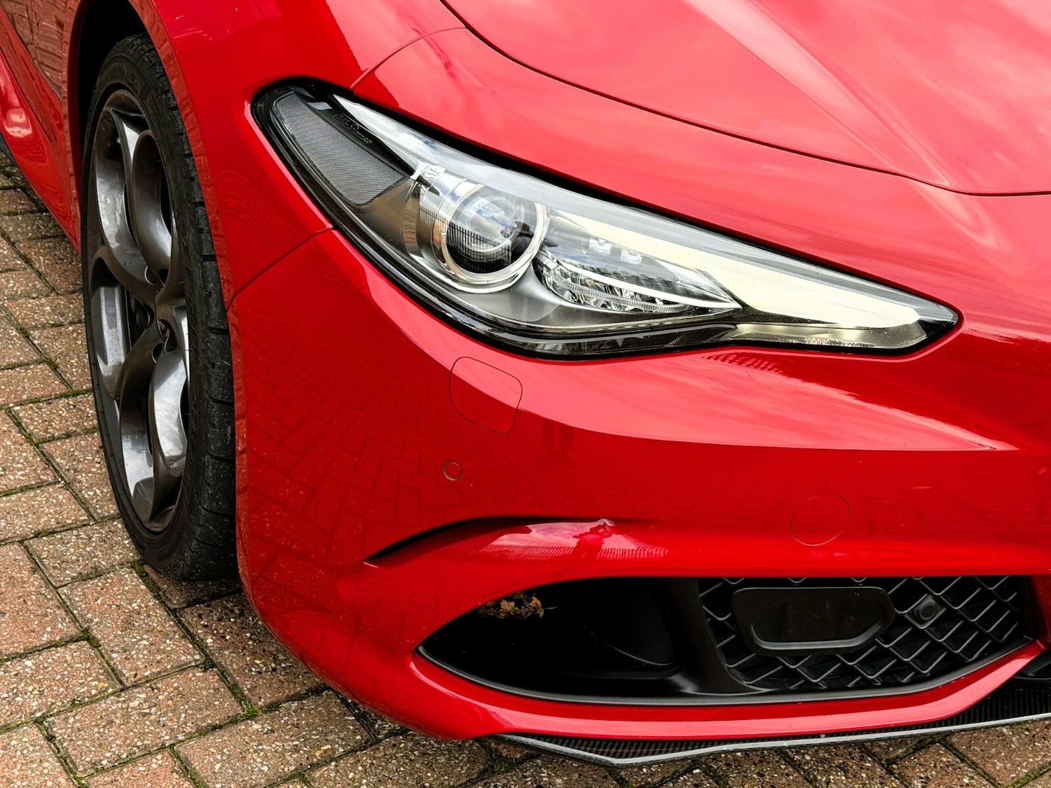 Used Alfa Romeo Giulia 2022 for sale - 77401400: Photo 13