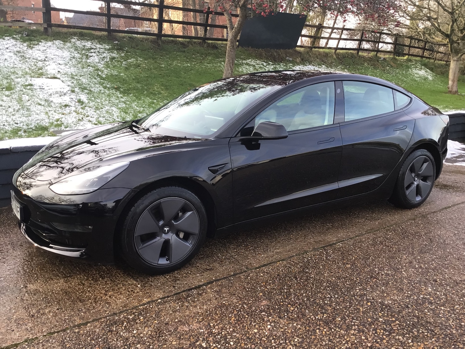 Used Tesla Model 3 2020 for sale - 77116162: Photo 5