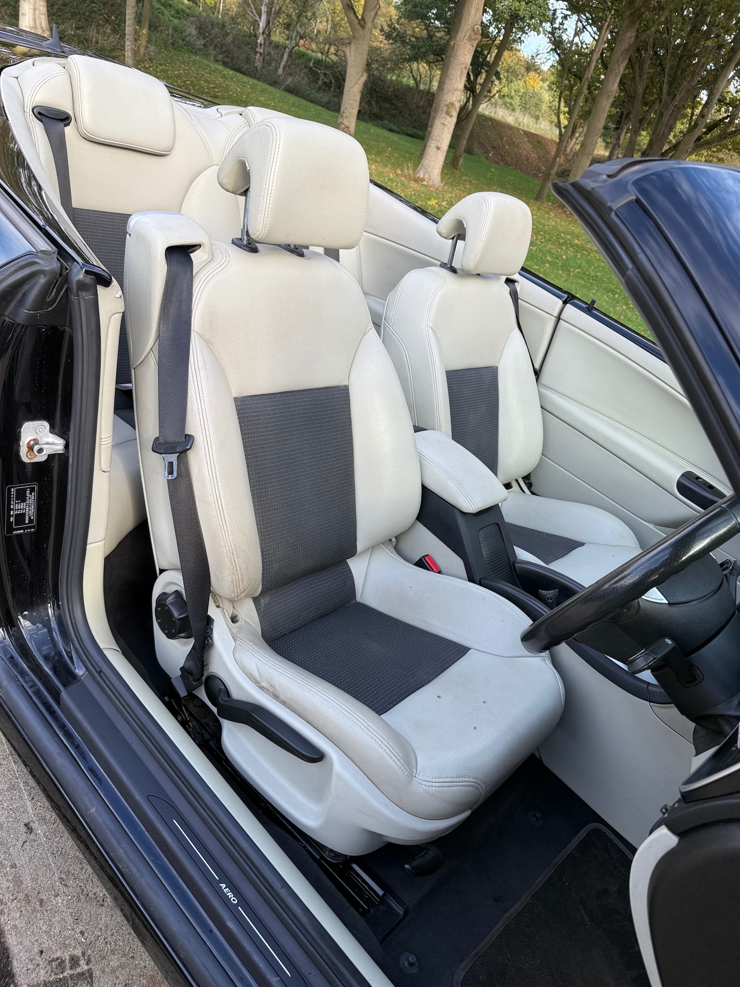 Used Saab 9-3 2010 for sale - 76344805: Photo 10