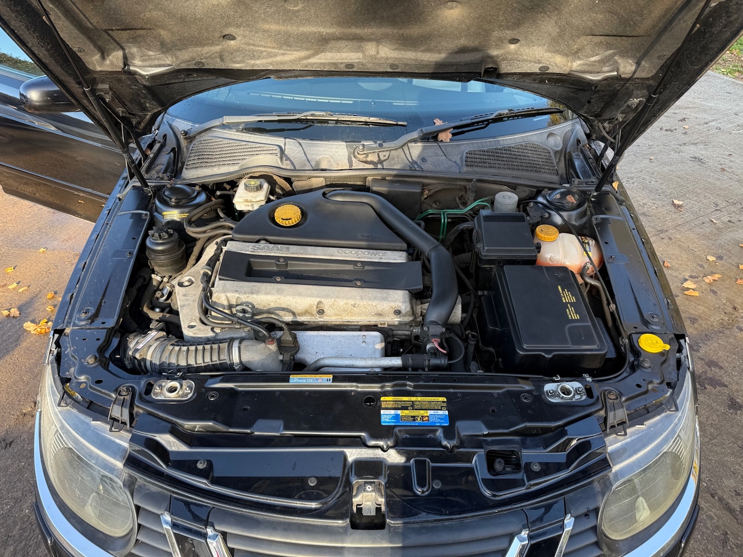 Used Saab 9-5 2006 for sale - 76924695: Photo 23