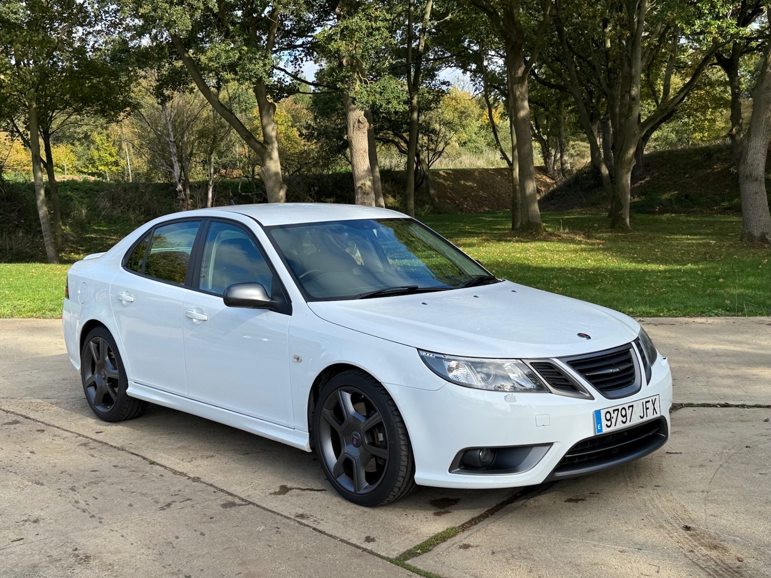 Used Saab 9-3 2010 for sale - 76924729: Photo 1