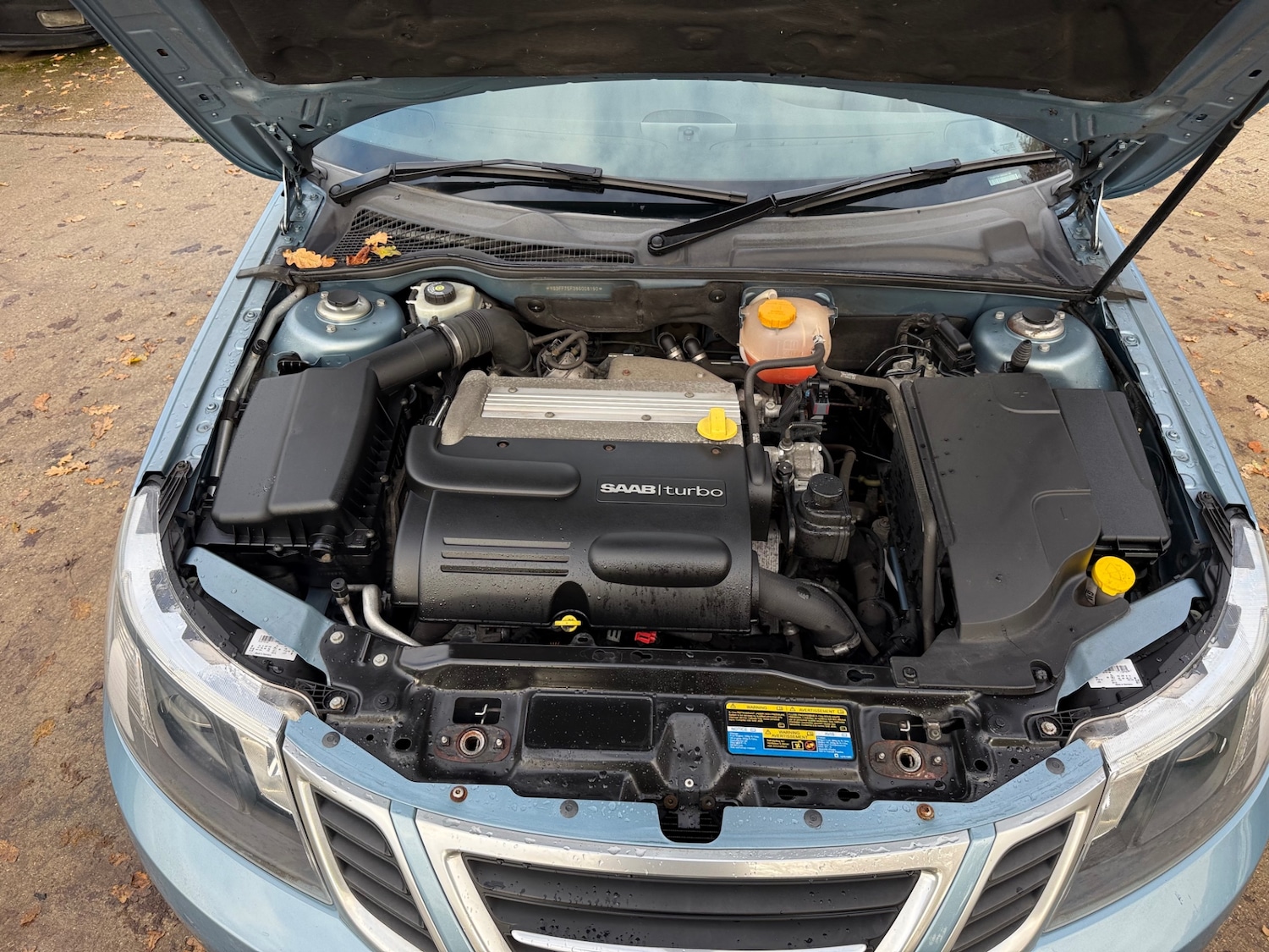 Used Saab 9-3 2009 for sale - 76924705: Photo 11