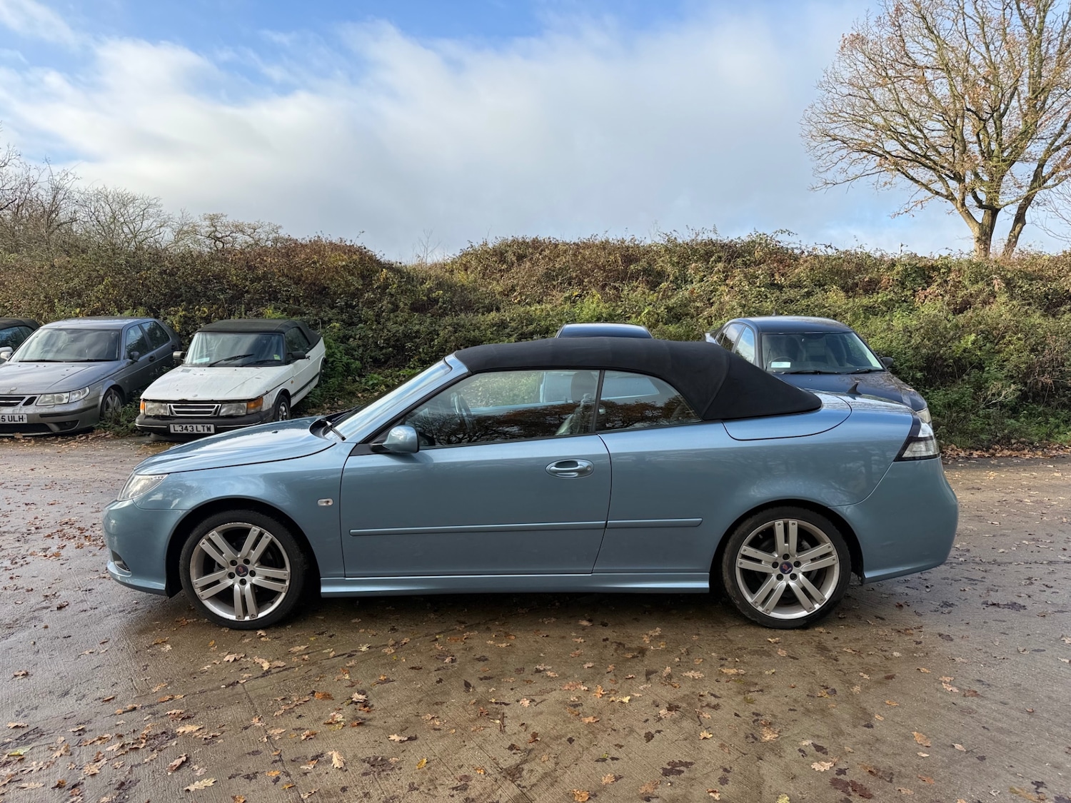 Used Saab 9-3 2009 for sale - 76924705: Photo 14