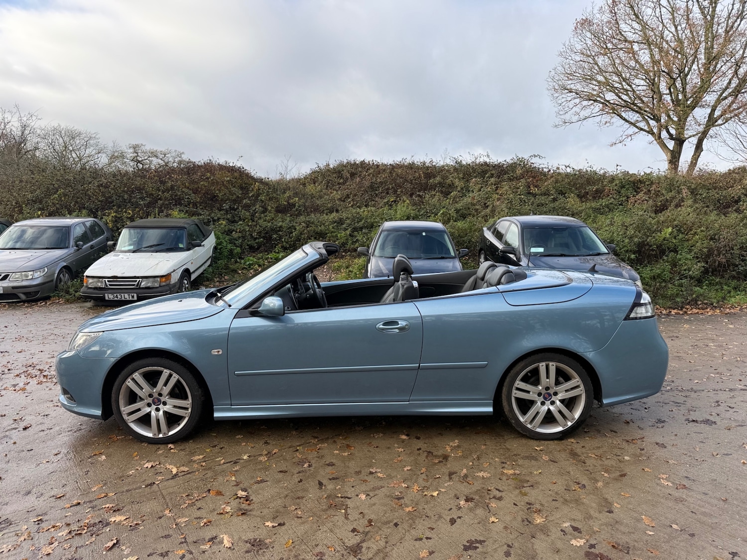 Used Saab 9-3 2009 for sale - 76924705: Photo 4