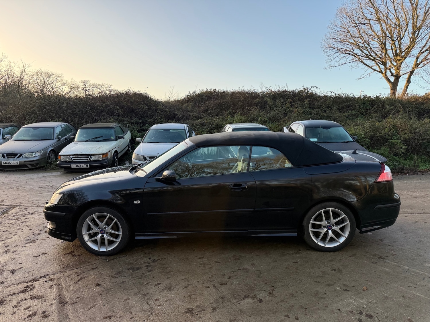 Used Saab 9-3 2005 for sale - 77014937: Photo 11