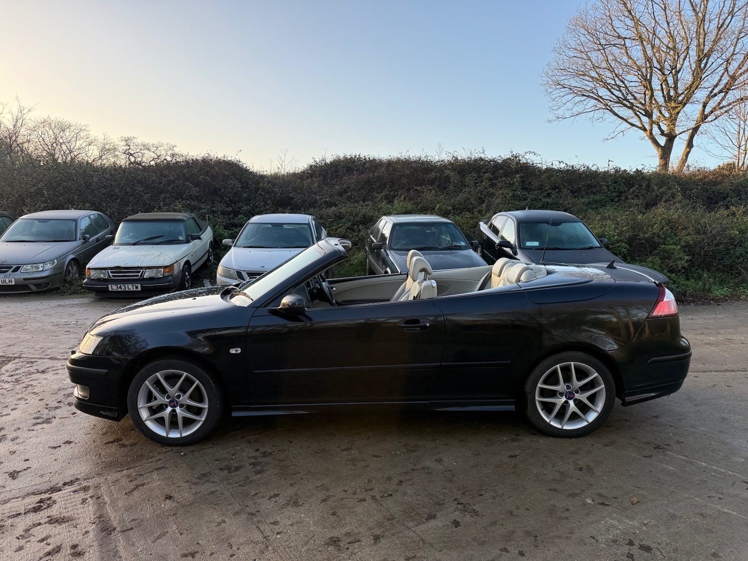 Used Saab 9-3 2005 for sale - 77014937: Photo 4