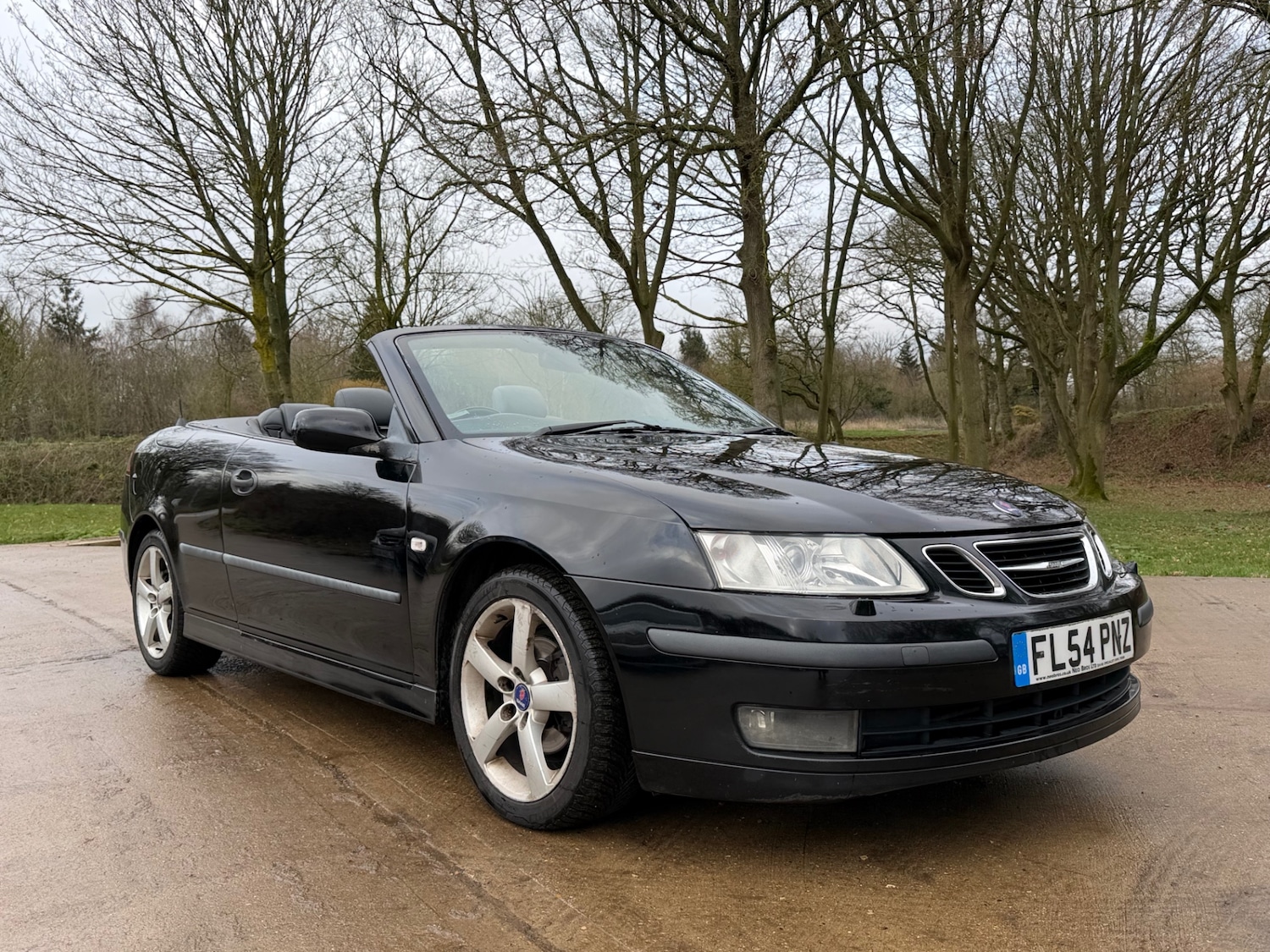 Used Saab 9-3 2004 for sale - 77691649: Photo 14