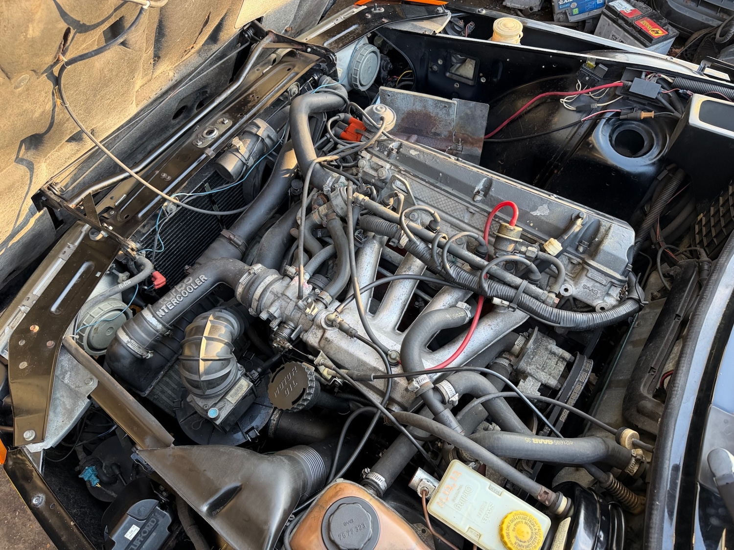 Used Saab 900 1992 for sale - 77756738: Photo 62