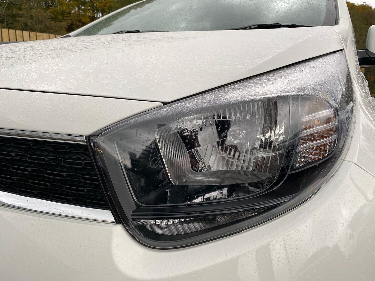 Used Kia Picanto 2023 for sale - 76300795: Photo 29