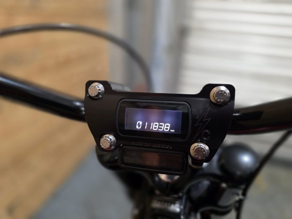 Harley-Davidson SOFTAIL