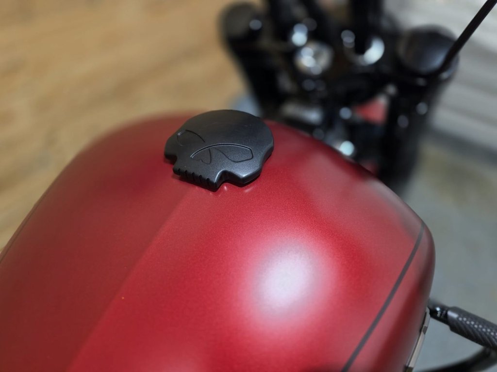 Harley-Davidson SOFTAIL