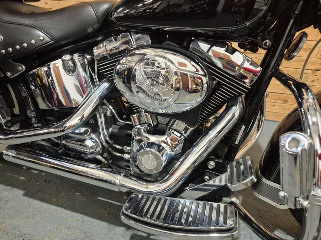 Harley-Davidson SOFTAIL