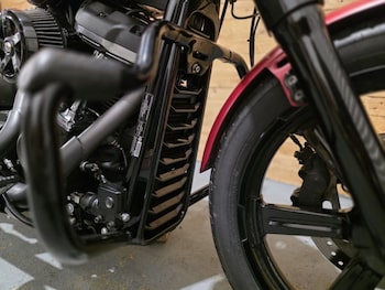 Used Harley-Davidson SOFTAIL STREET BOB 2019 for sale - bike-78286670: Photo
