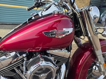 Used Harley-Davidson SOFTAIL DELUXE 2005 for sale - bike-79220945: Photo