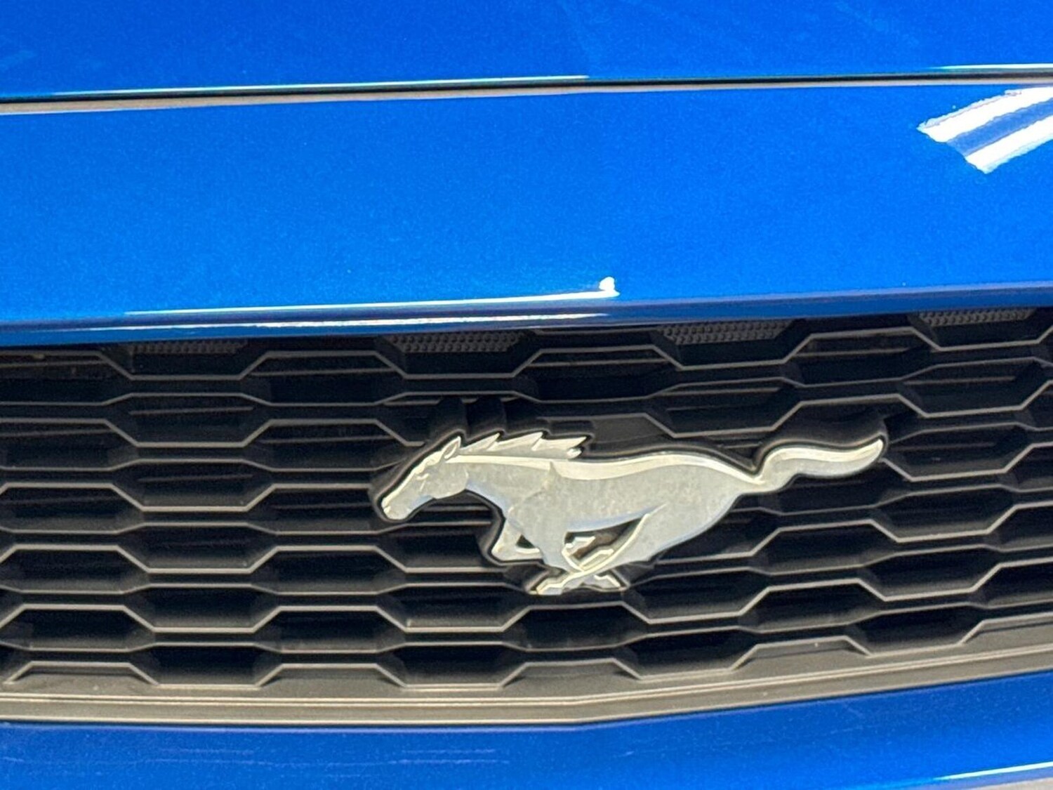 Used Ford Mustang 2017 for sale - 77901609: Photo 33