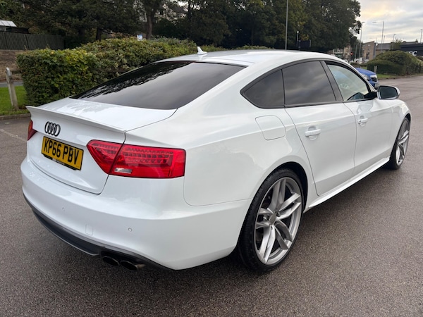 Used Audi S5 2016 for sale - 76059587: Photo 8