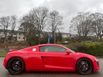 Used Audi R8 2008 for sale - 78260744: Photo