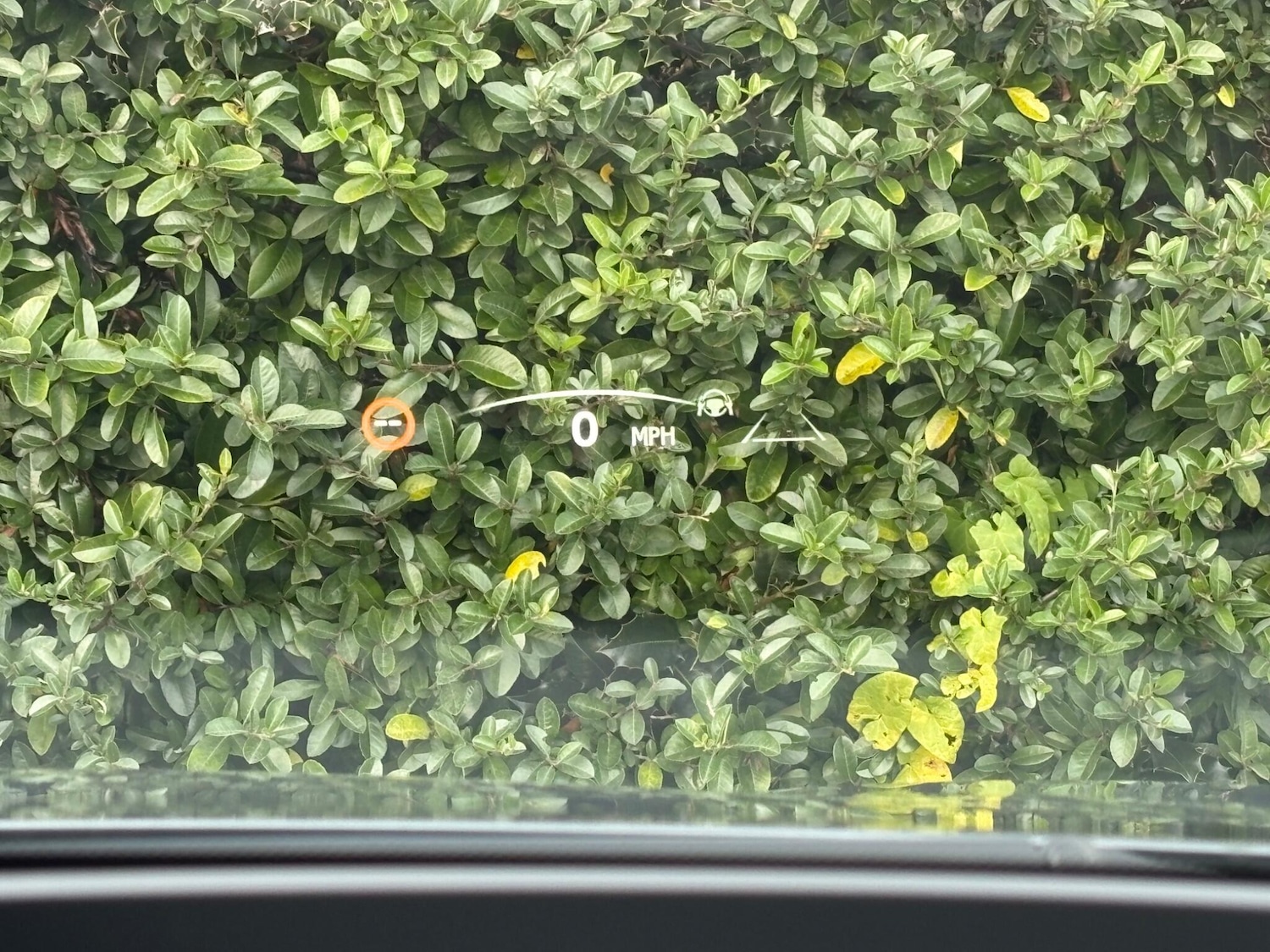 Used Lexus NX 2023 for sale - 76832655: Photo 14