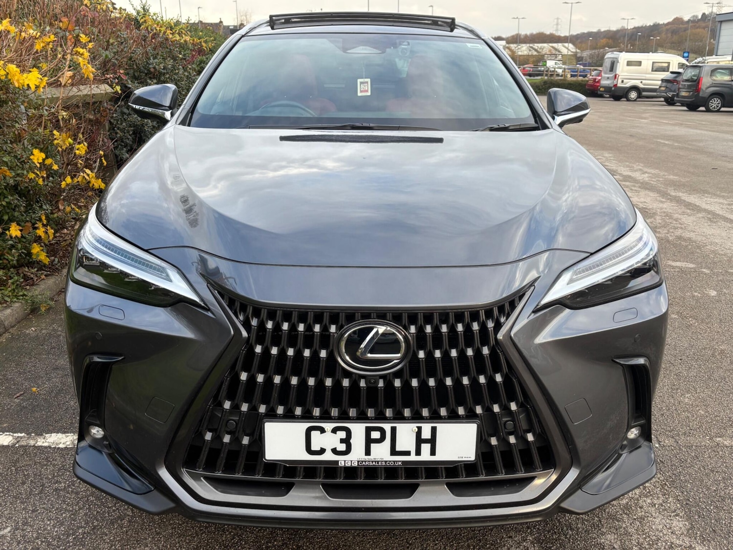 Used Lexus NX 2023 for sale - 76832655: Photo 2