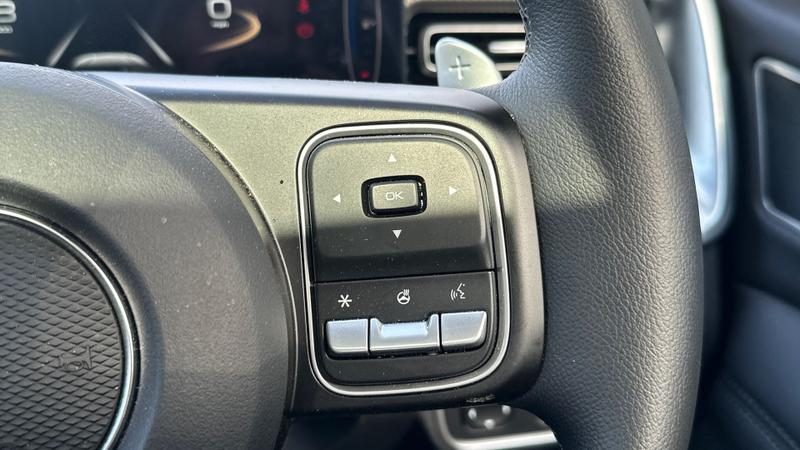 Used GWM POER300 2026 for sale - 78153068: Photo 16