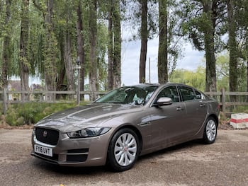 Used Jaguar XE 2016 for sale - 79806673: Photo