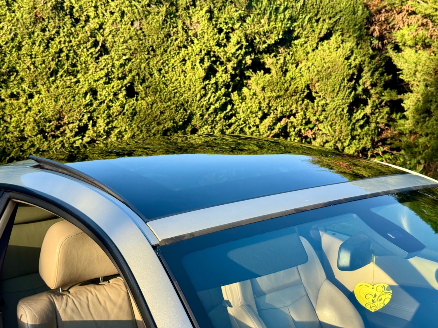 Used BMW 6 Series 2006 for sale - 77001745: Photo 8