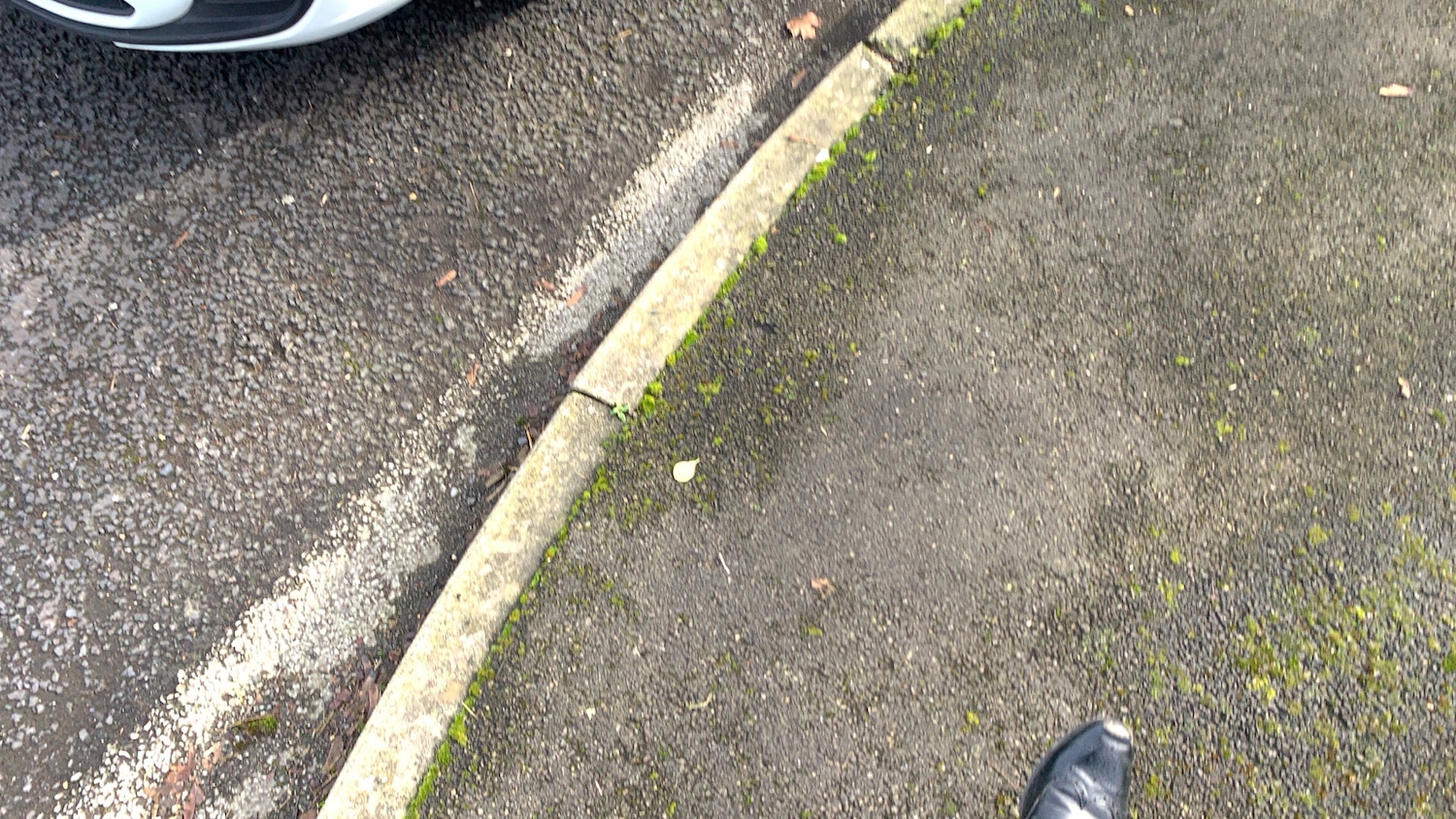 Used Volkswagen Polo 2024 for sale - 77599239: Photo 60