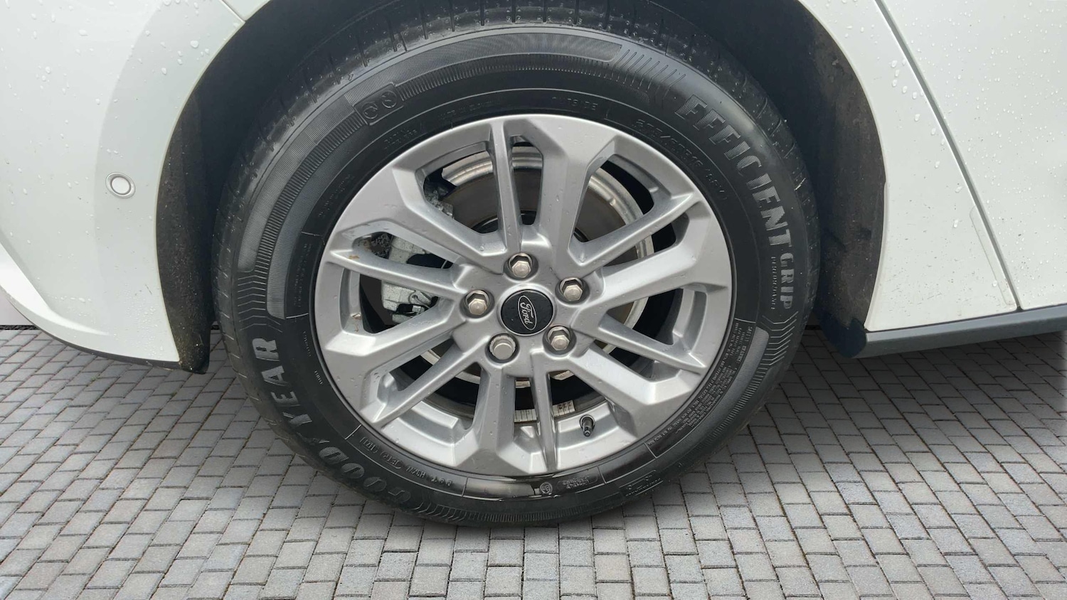 Used Ford Focus 2023 for sale - 77443578: Photo 6