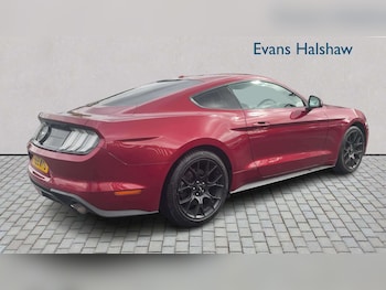 Used Ford Mustang 2019 for sale - 78551186: Photo