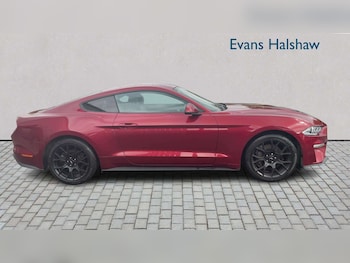 Used Ford Mustang 2019 for sale - 78551186: Photo