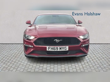 Used Ford Mustang 2019 for sale - 78551186: Photo