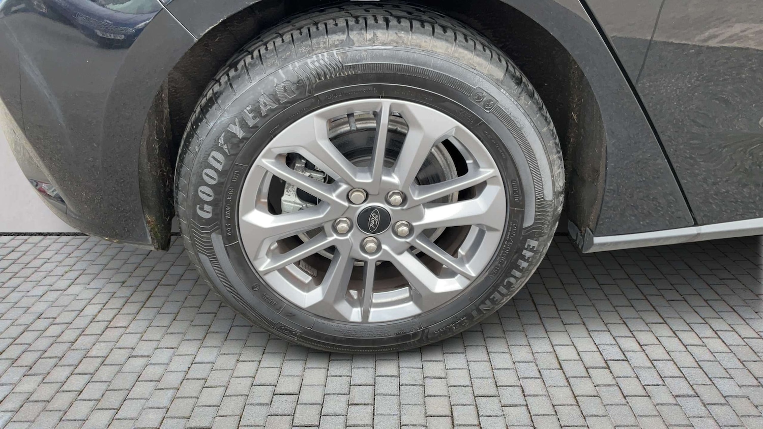 Used Ford Focus 2023 for sale - 78076678: Photo 6