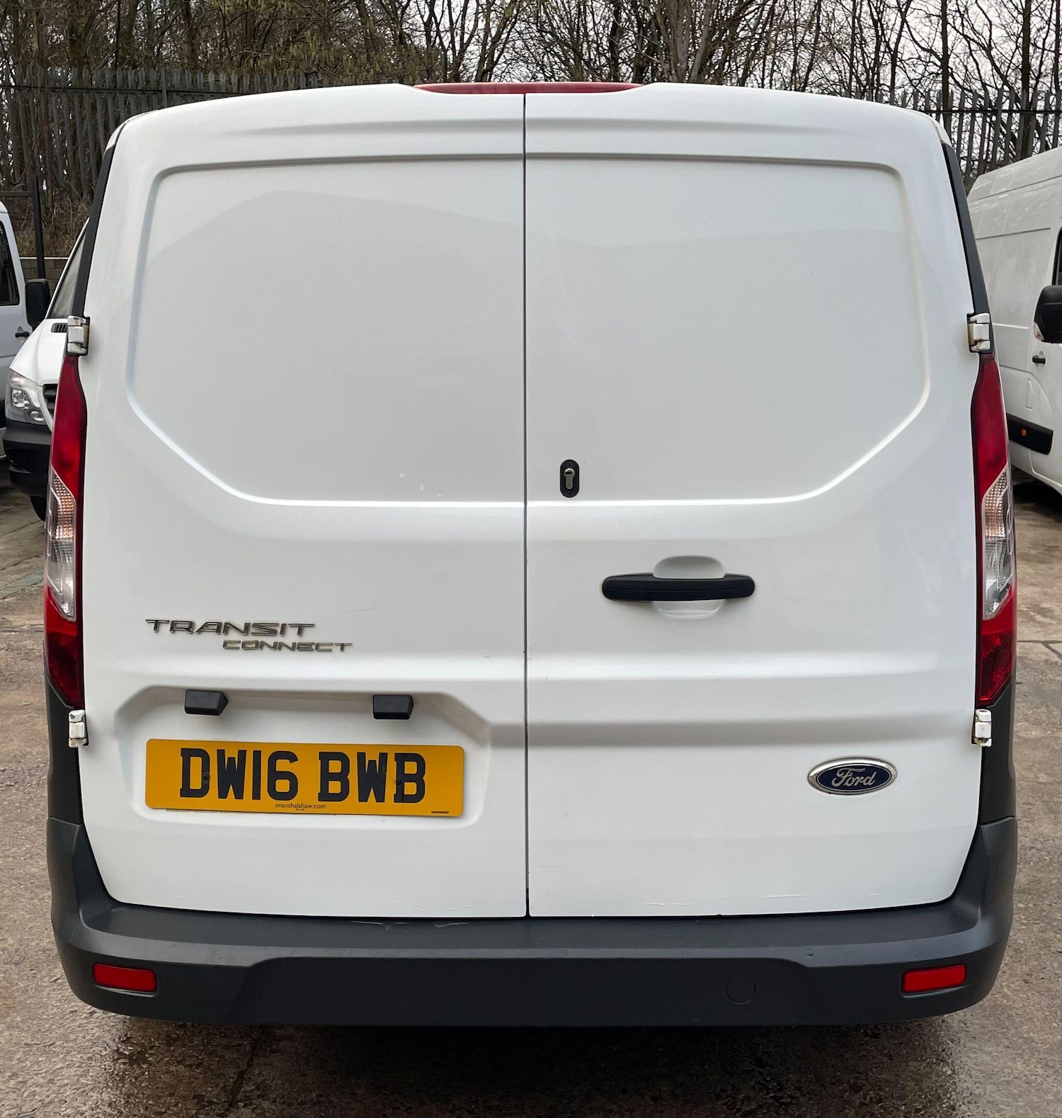 Used Ford Transit Connect 2016 for sale - 77387204: Photo 10