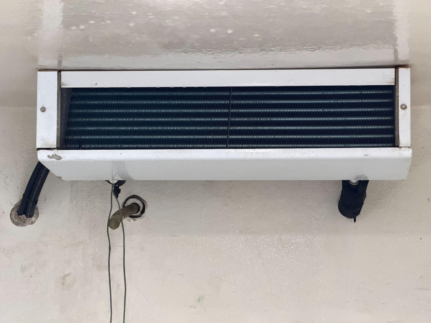 Used Ford Transit for sale - 77824376: Photo 43