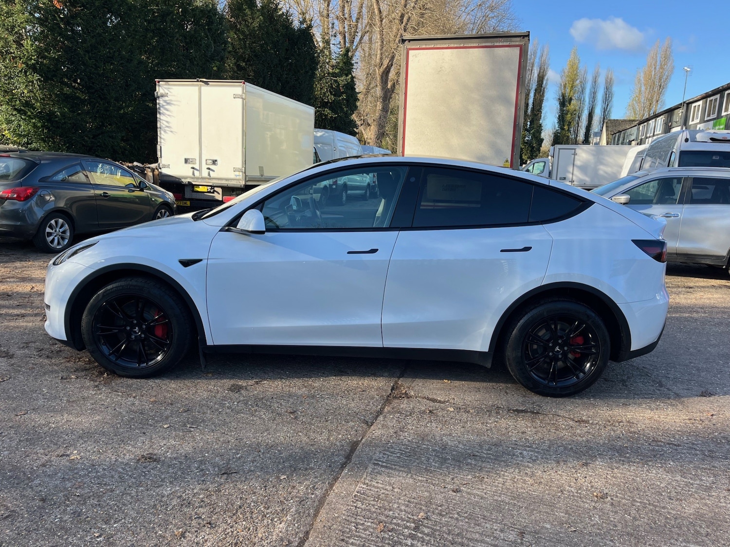 Used Tesla Model Y 2023 for sale - 76603012: Photo 3