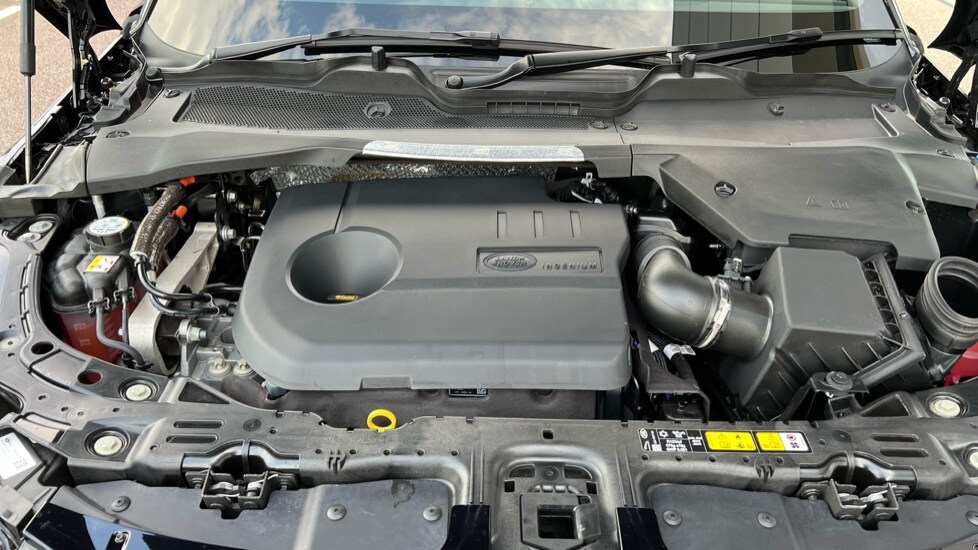 Used Land Rover Range Rover Evoque 2025 for sale - 76044507: Photo 30