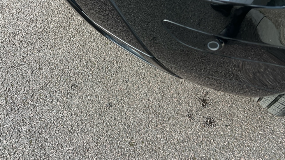 Used Land Rover Range Rover Evoque 2025 for sale - 76873644: Photo 55