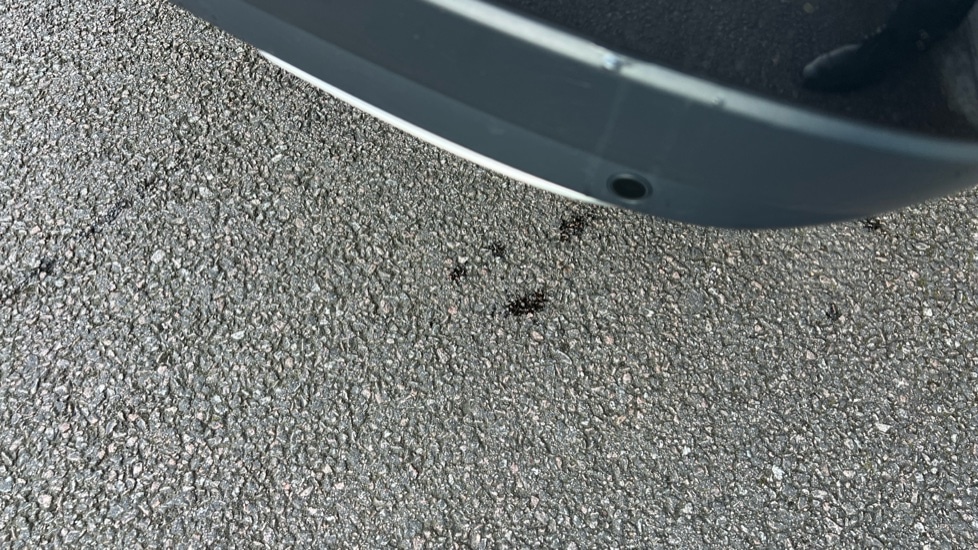 Used Land Rover Range Rover 2021 for sale - 76602927: Photo 56