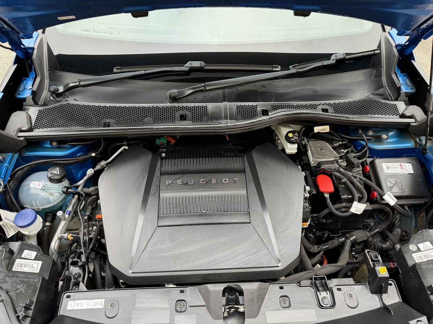 Used Peugeot 2008 2020 for sale - 77056626: Photo 52