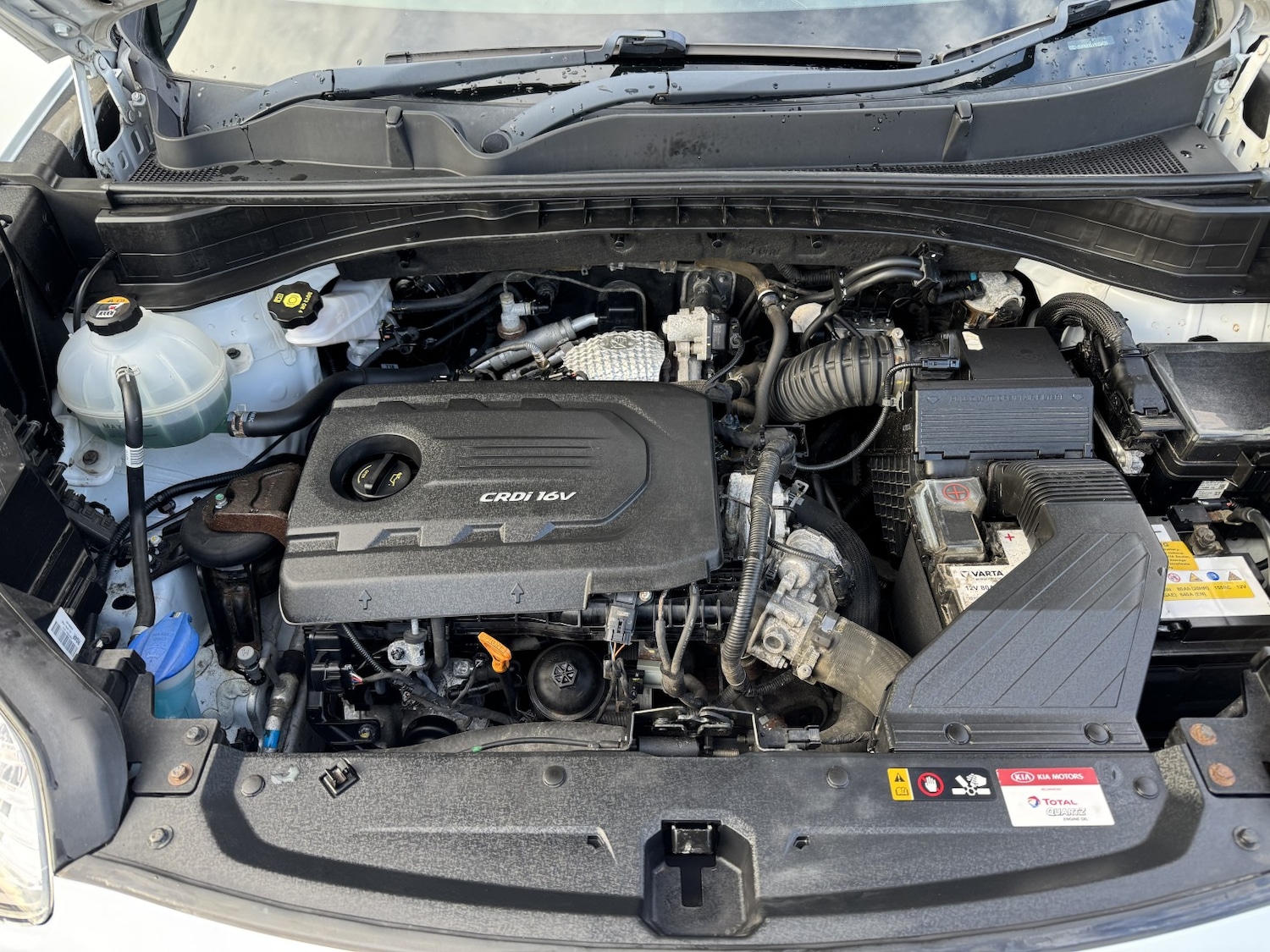 Used Kia Sportage 2017 for sale - 76734804: Photo 53