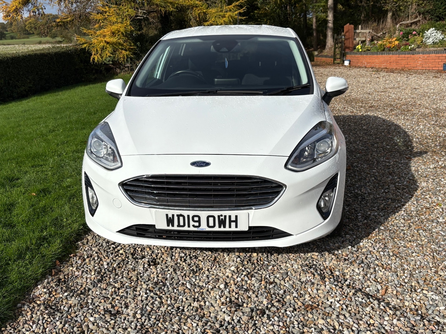 Used Ford Fiesta 2019 for sale - 76402242: Photo 29