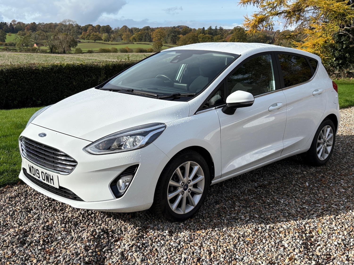 Used Ford Fiesta 2019 for sale - 76402242: Photo 33