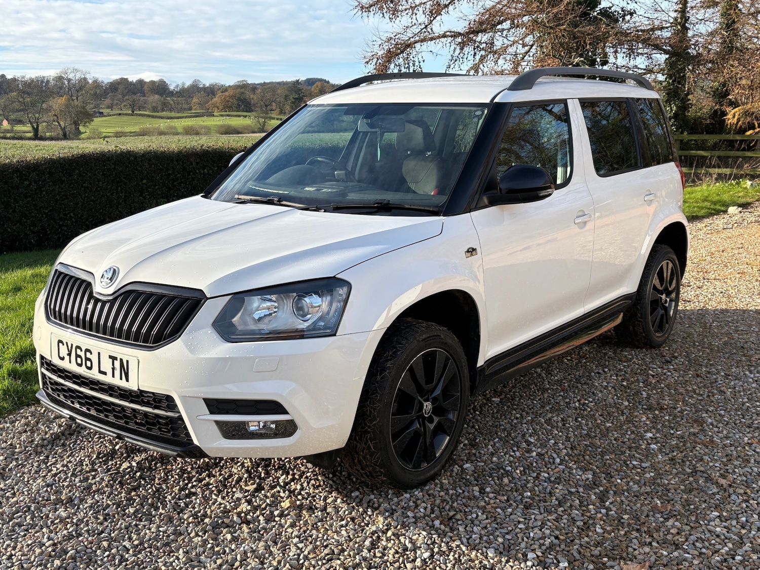 Used Skoda Yeti 2017 for sale - 76662517: Photo 1