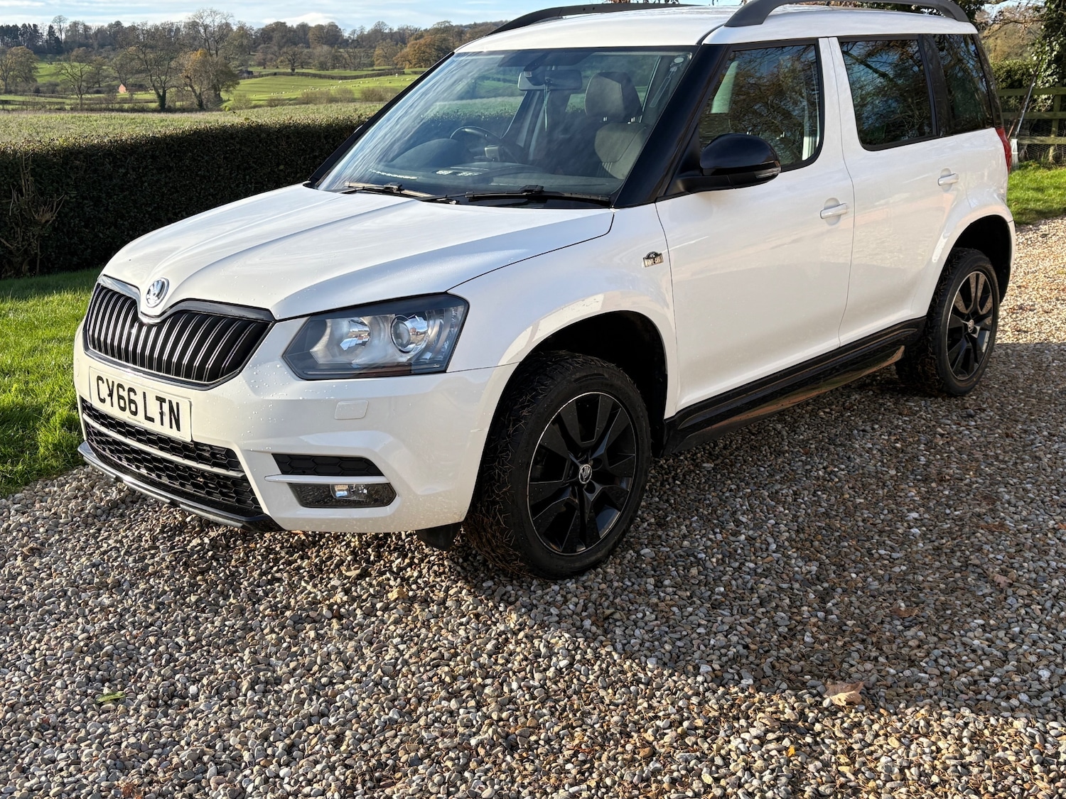 Used Skoda Yeti 2017 for sale - 76662517: Photo 12